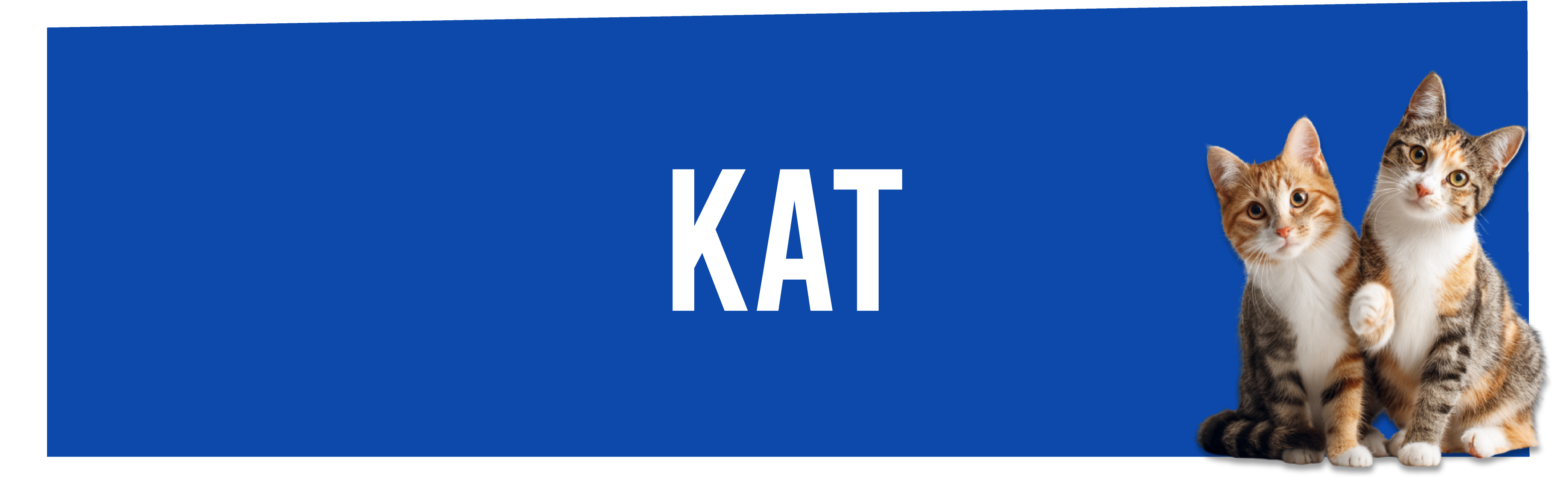 Kattenvoer